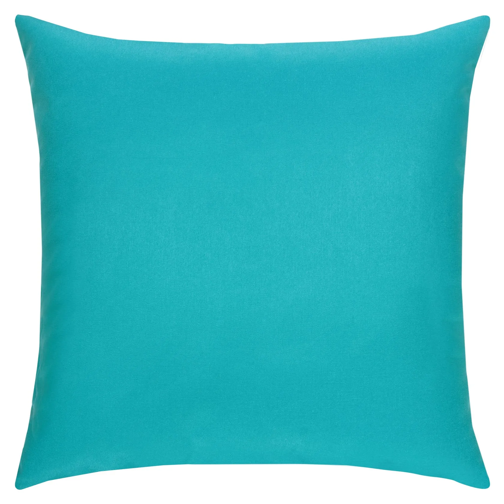 22" Square Elaine Smith Pillow  Canvas Aruba