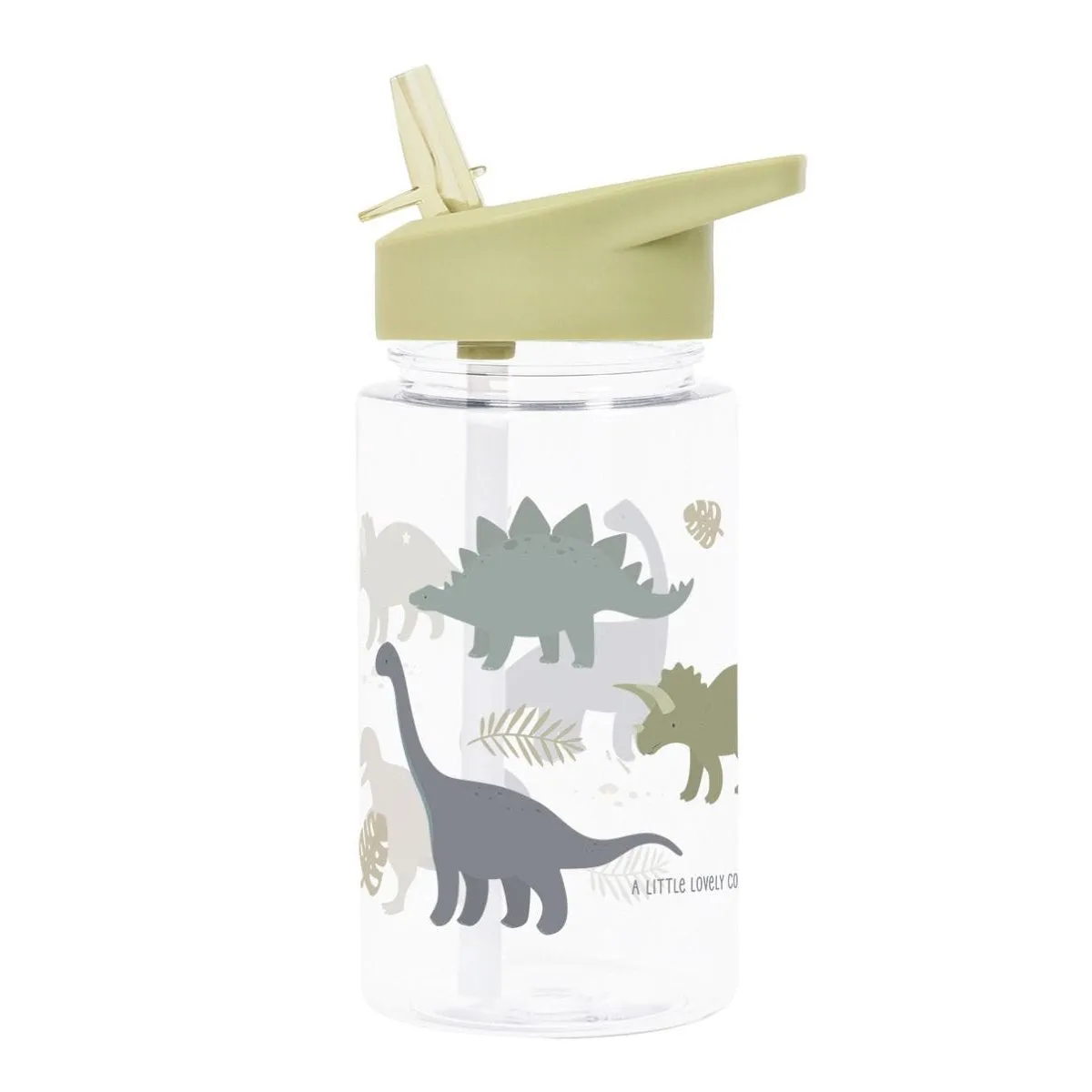 A Little Lovely Company Drink Bottle: Dinosaurs