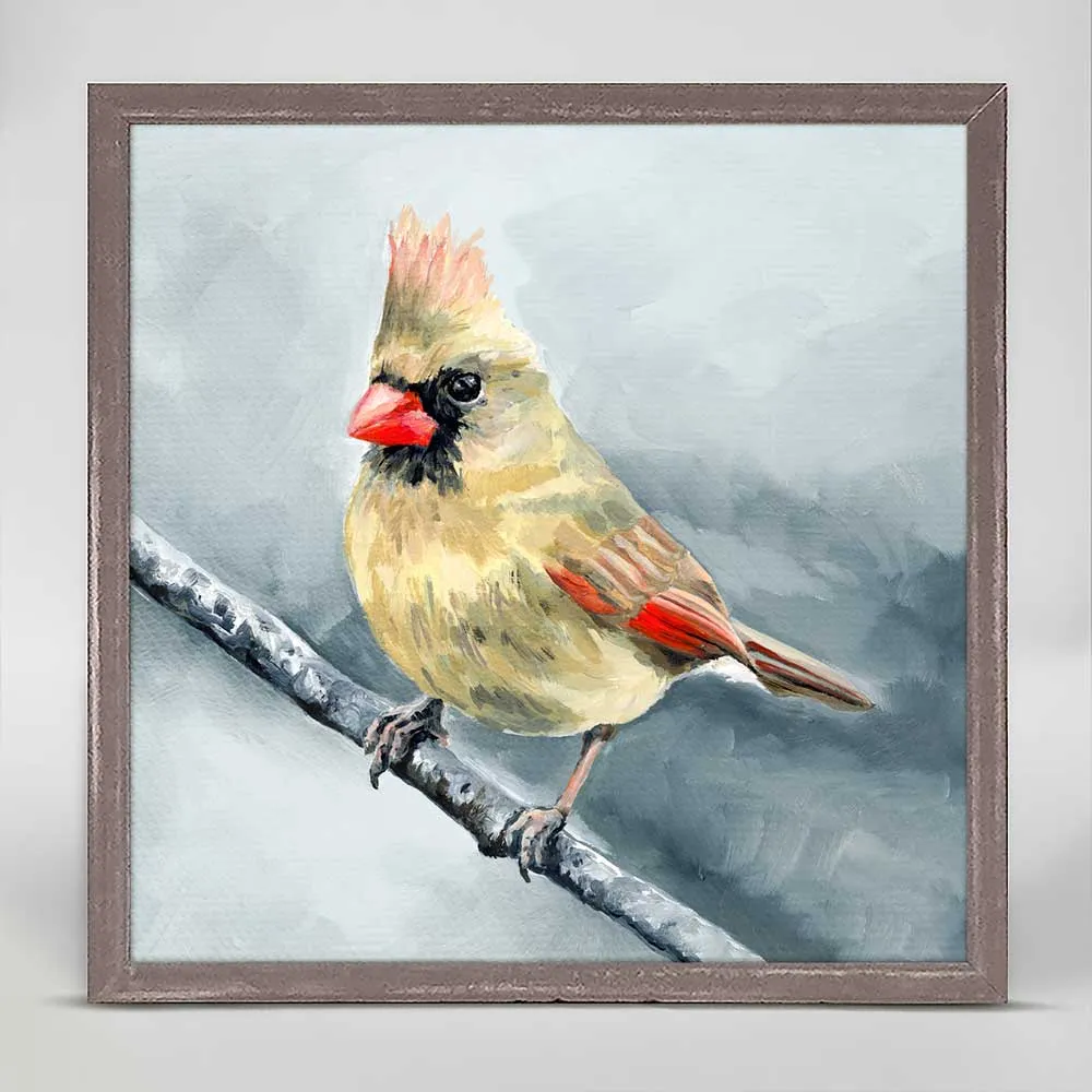 Avian Spotlight - Cardinal Mini Framed Canvas