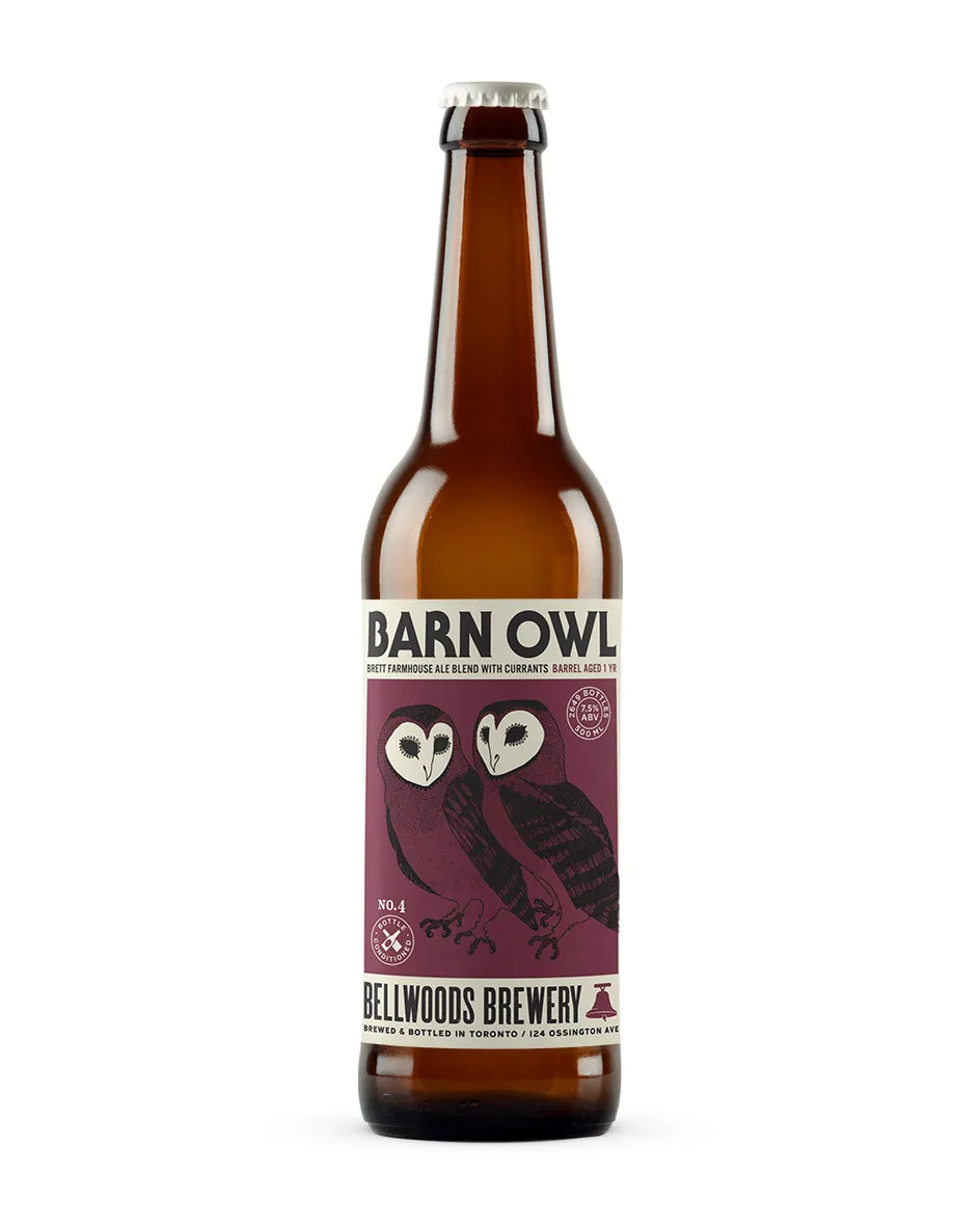 Barn Owl  No.4