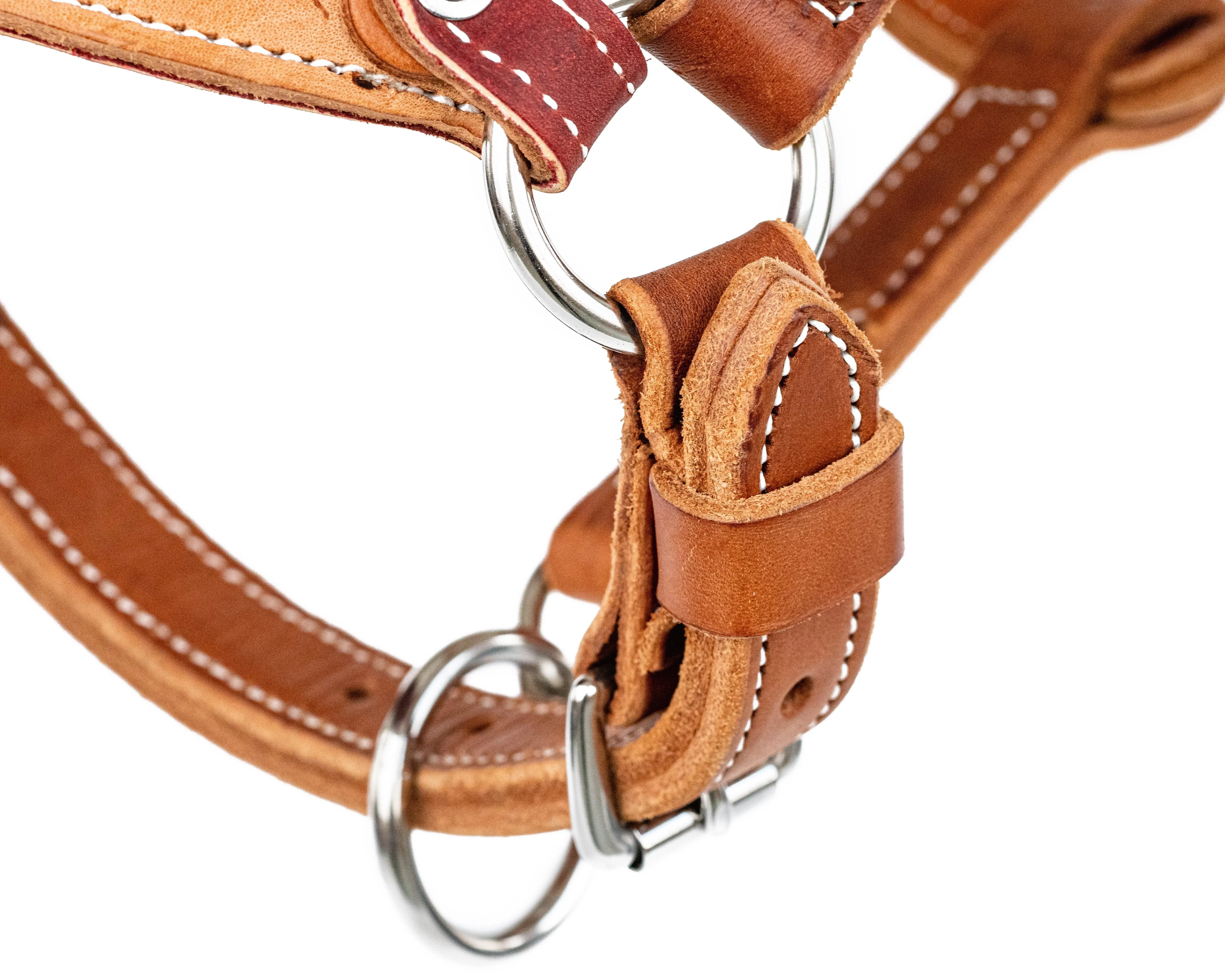 Beastmaster Mini Leather Saddle Bronc Halter