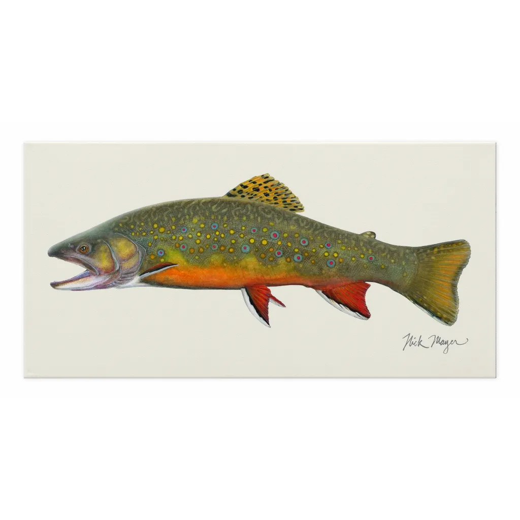 Beaver Pond Brook Trout Canvas Print