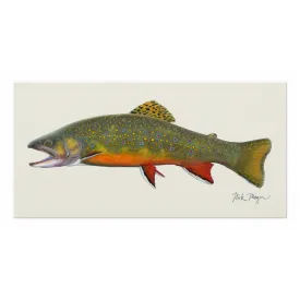 Beaver Pond Brook Trout Canvas Print