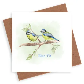 Blue Tit Bird Card