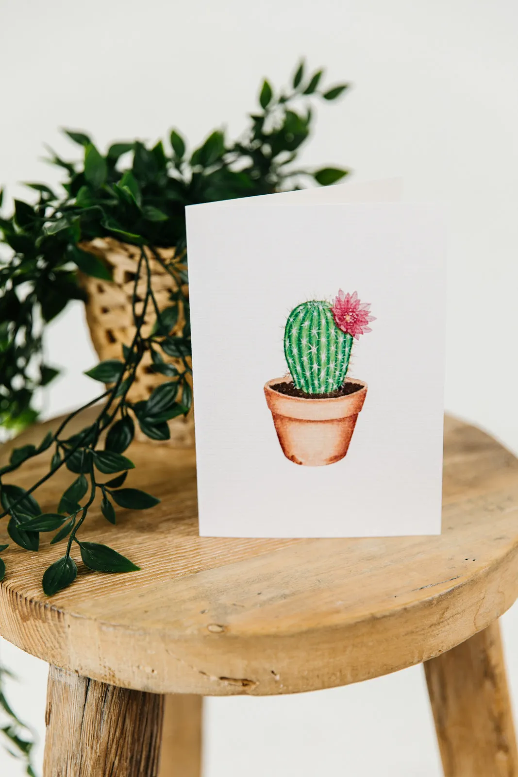 Cactus Flower Greeting Card