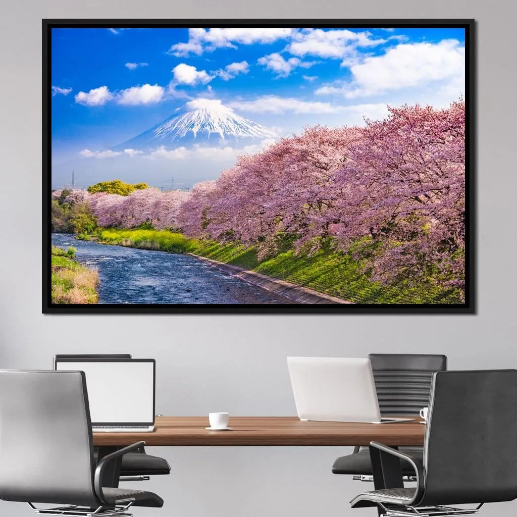 Cherry Blossoms in Japan