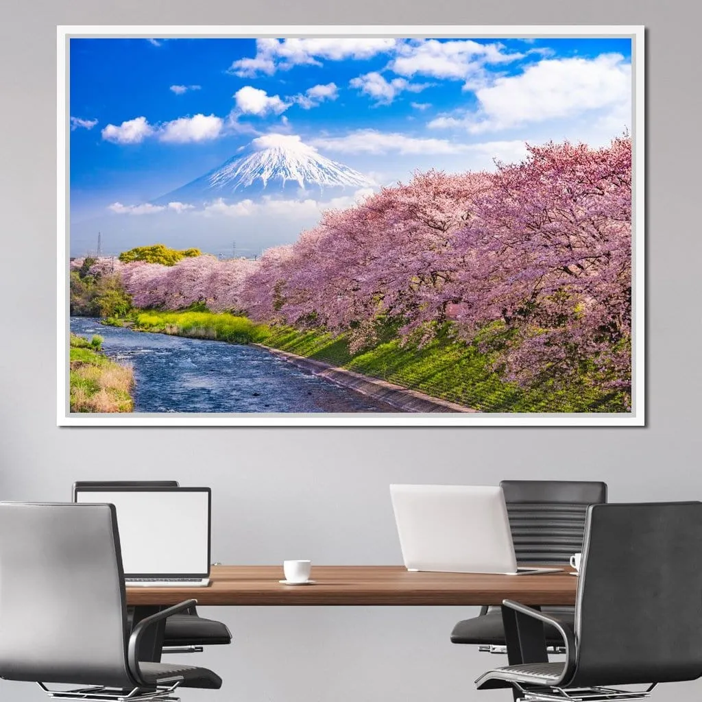 Cherry Blossoms in Japan