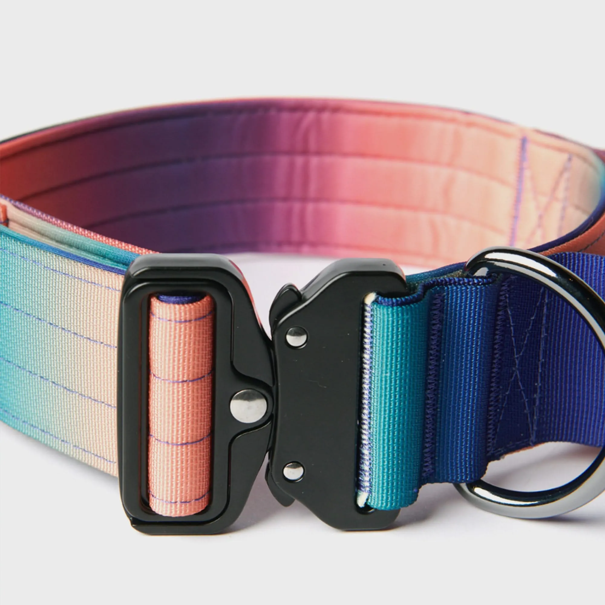 Comfort Control Collar Set - Kaleidoscope