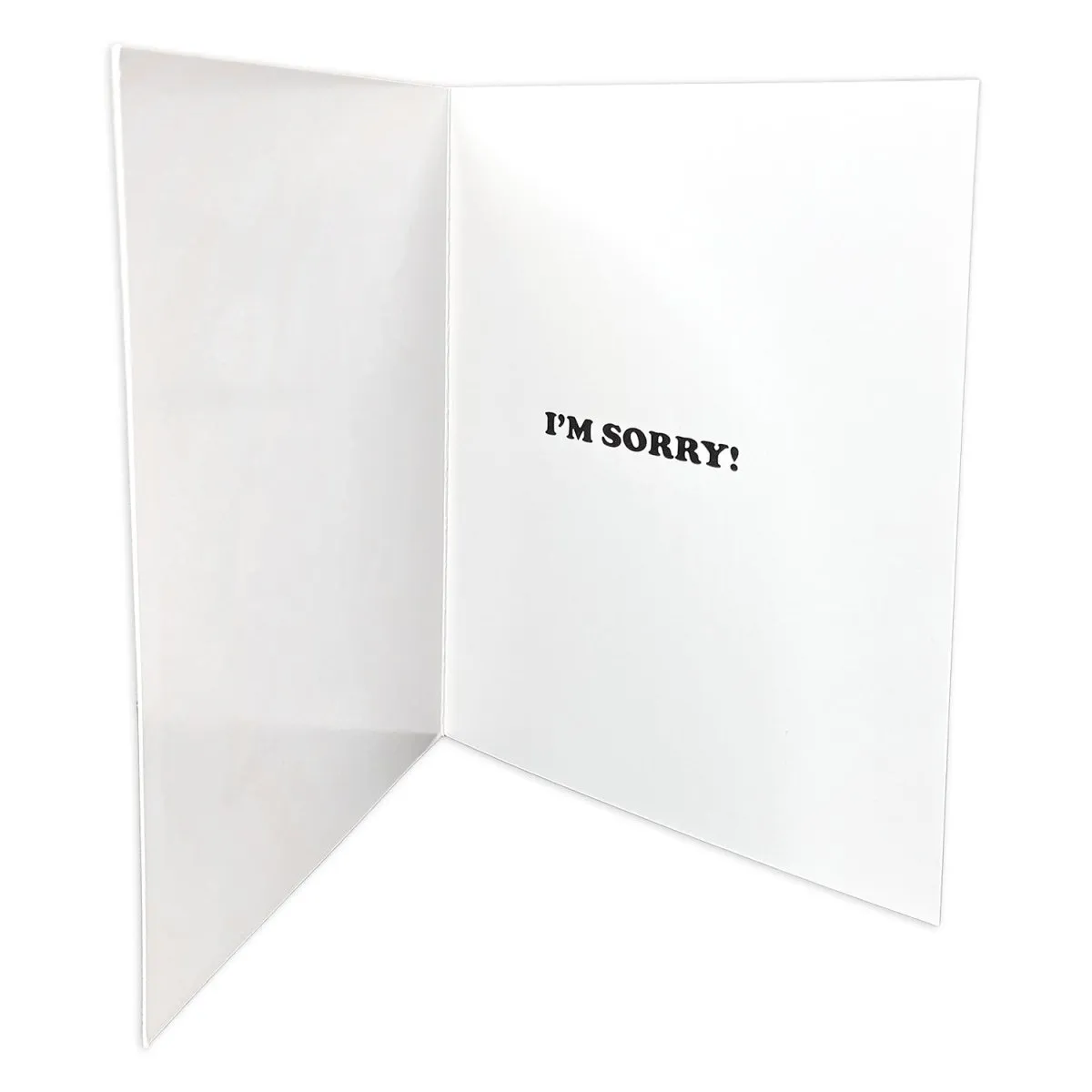 I'm Sorry Henry & Glenn Greeting Card