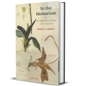 In the Herbarium: The Hidden World of Collecting and Preserving Plants