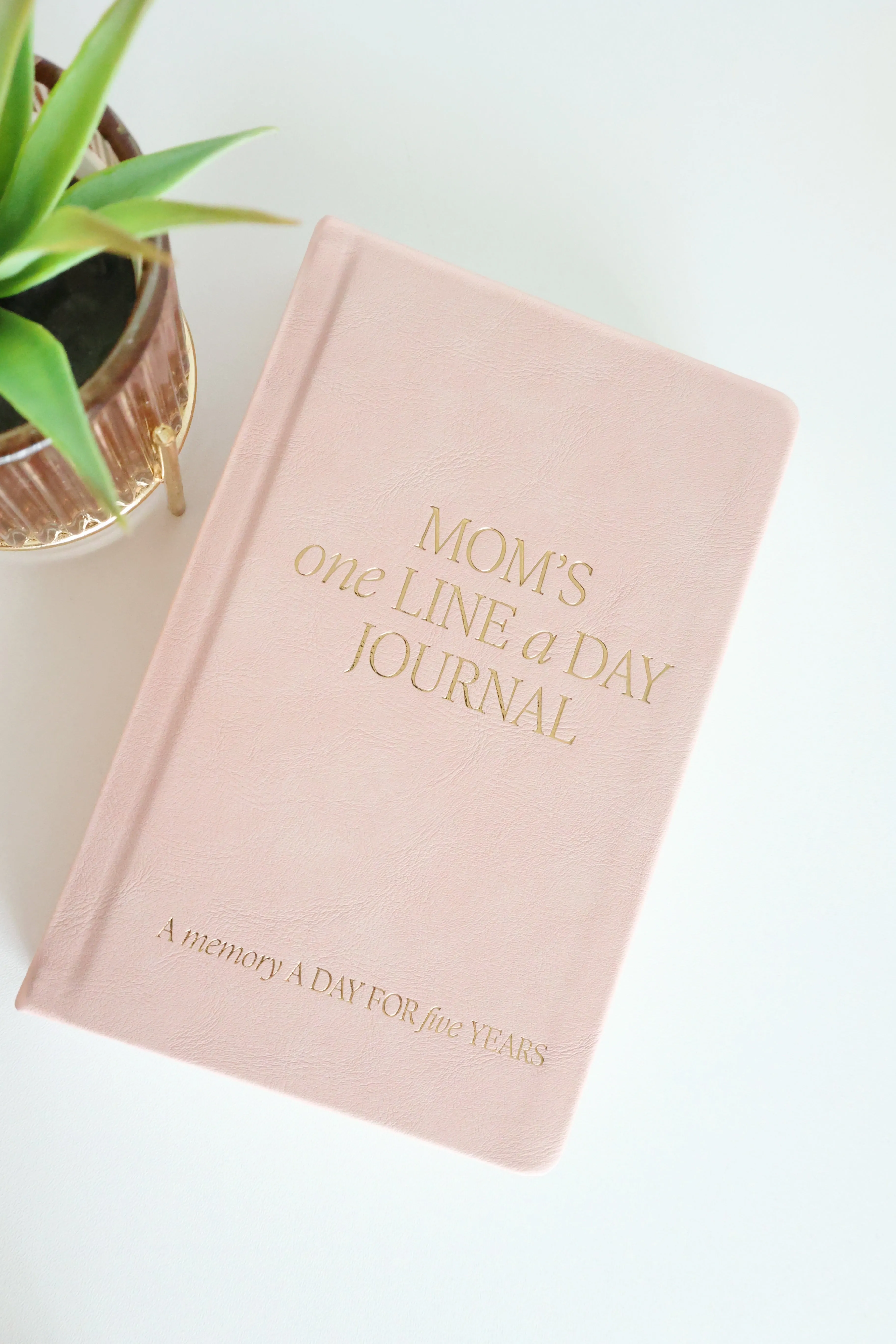 Mom's One Line A Day Journal