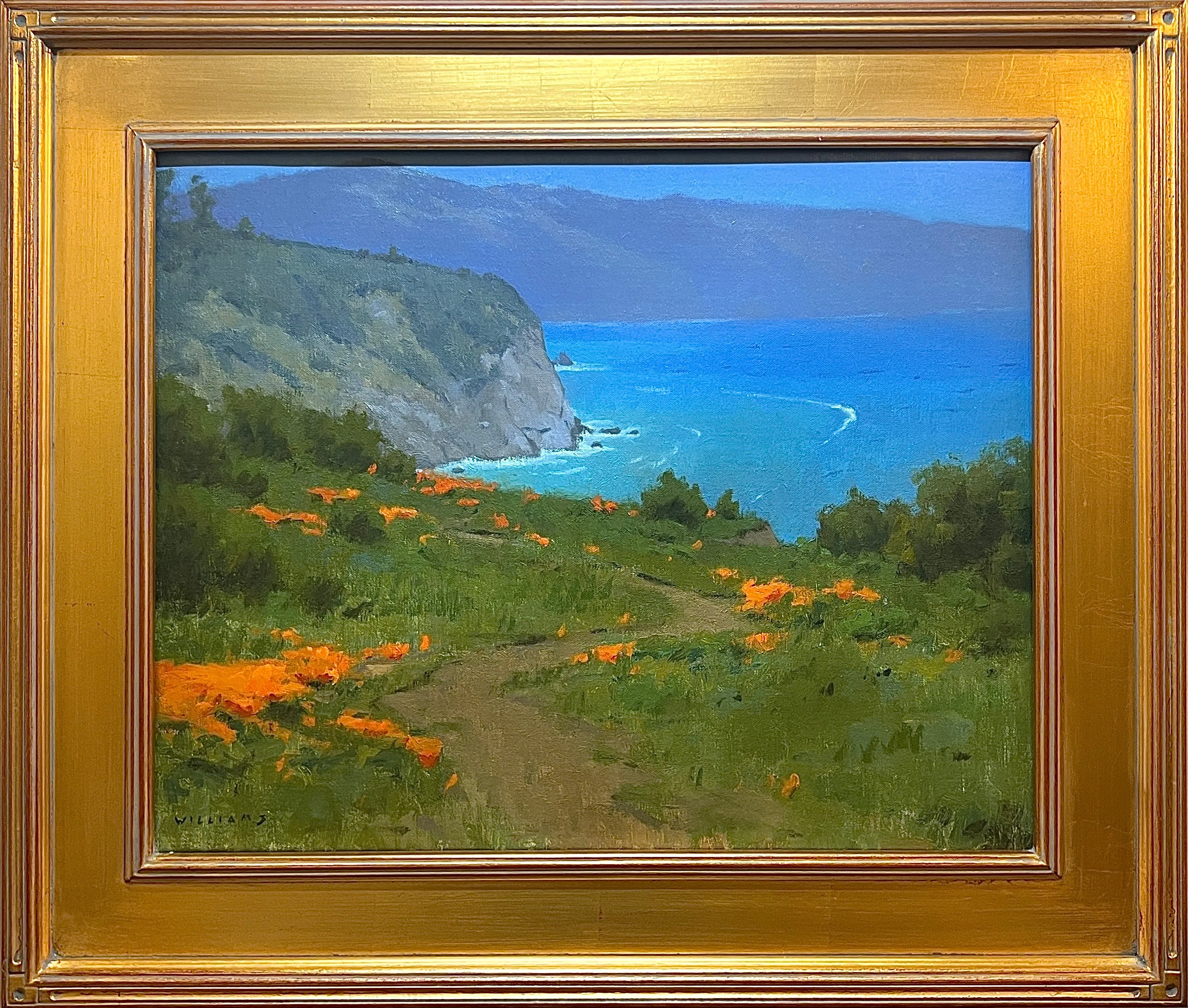 "Big Sur Poppies" by Mason Cole Williams