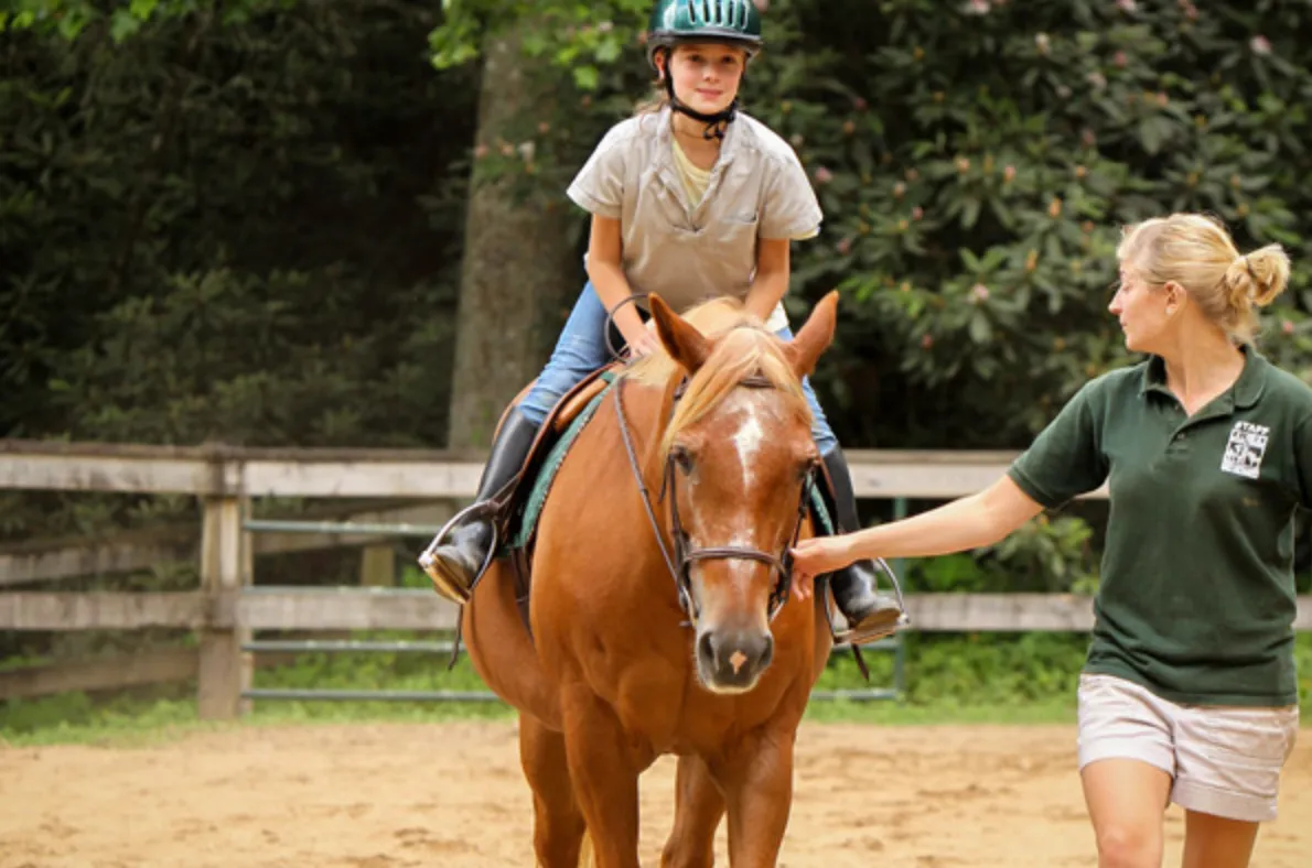 Saddle Pad