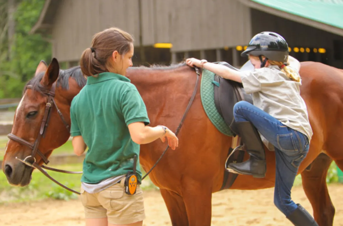 Saddle Pad