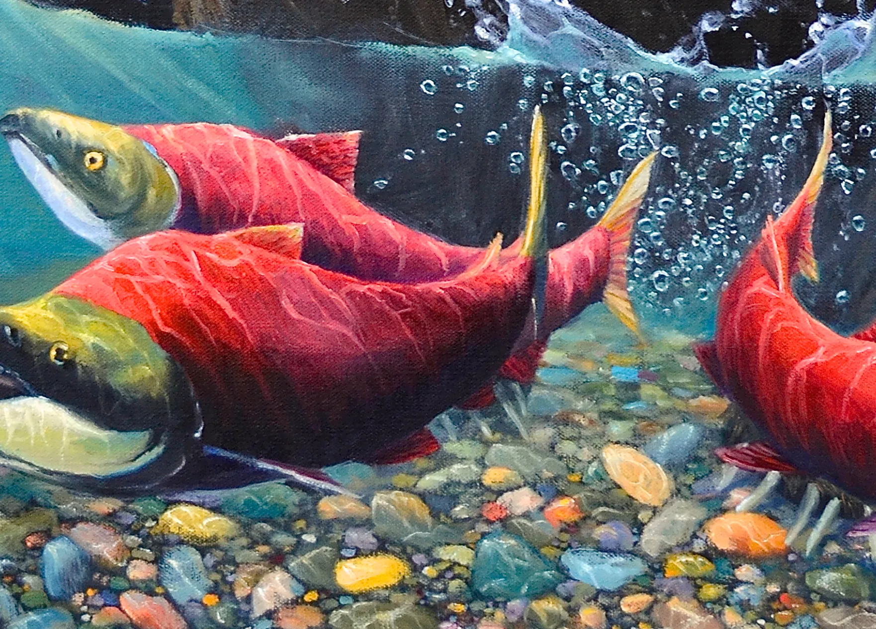 Sockeye - Wholesale