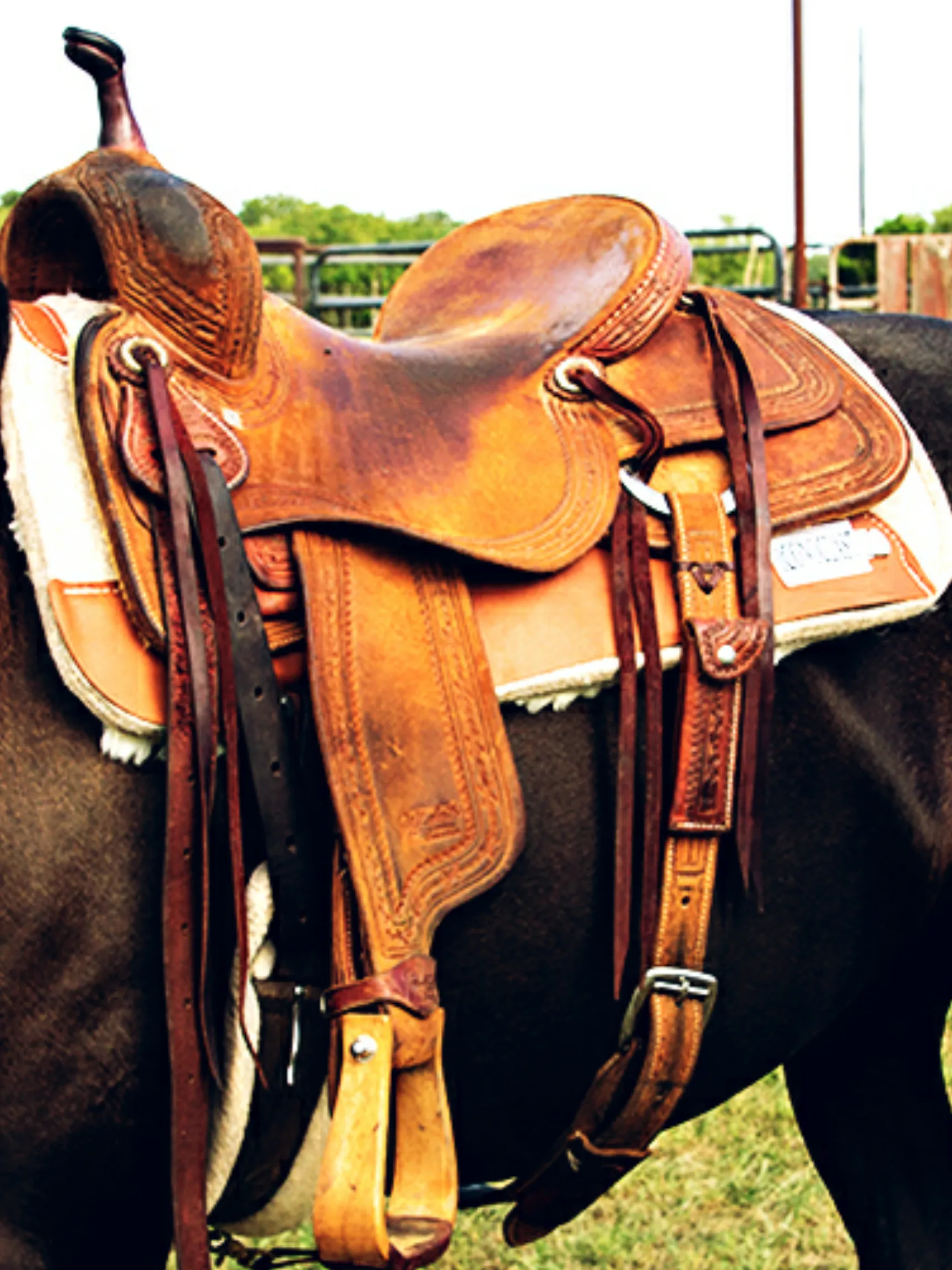 White Laredo Iconoclast Saddle Pad